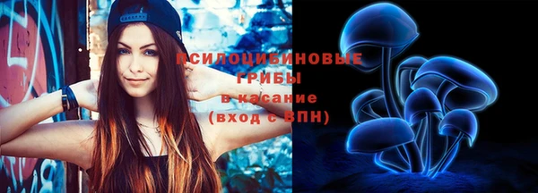 ГАЛЛЮЦИНОГЕННЫЕ ГРИБЫ Алексин