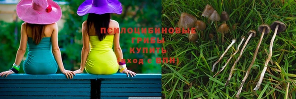 ГАЛЛЮЦИНОГЕННЫЕ ГРИБЫ Алексин