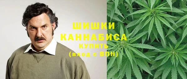 ГАЛЛЮЦИНОГЕННЫЕ ГРИБЫ Алексин